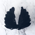 太阴 Tai Yin — The Hidden Moon （ Feather Ritual Tool for Concealment & Yin Energy）