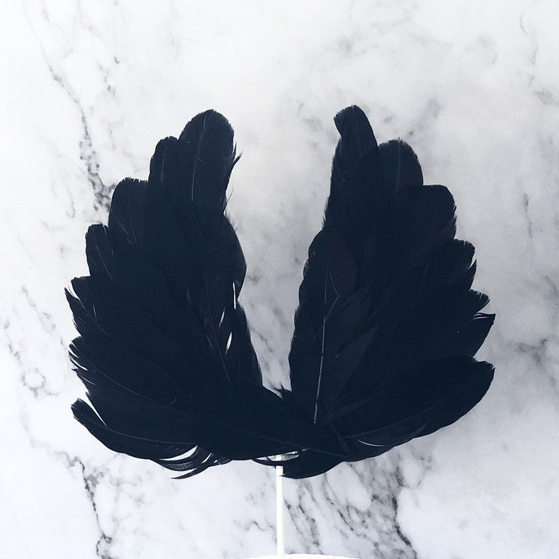 太阴 Tai Yin — The Hidden Moon （ Feather Ritual Tool for Concealment & Yin Energy）