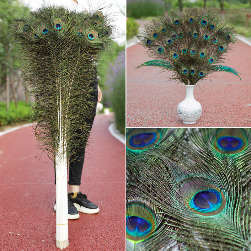 太阴 Tai Yin — The Hidden Moon （Natural Peacock Feather）
