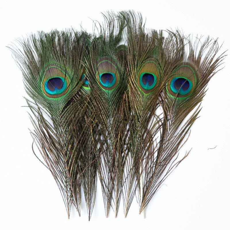 太阴 Tai Yin — The Hidden Moon （Natural Peacock Feather）