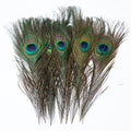 太阴 Tai Yin — The Hidden Moon （Natural Peacock Feather）