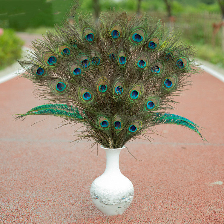 太阴 Tai Yin — The Hidden Moon （Natural Peacock Feather）