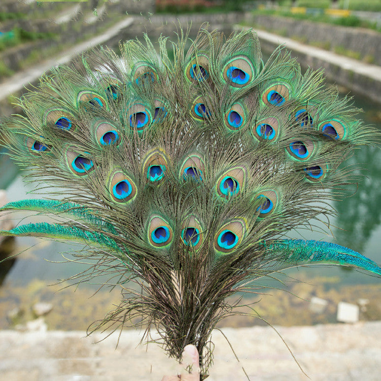 太阴 Tai Yin — The Hidden Moon （Natural Peacock Feather）