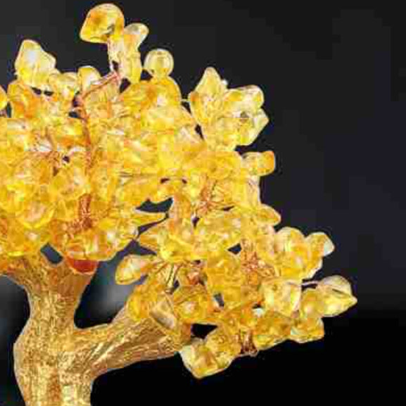 Citrine Small Water Turtle Money Tree | Feng Shui Wealth Decor