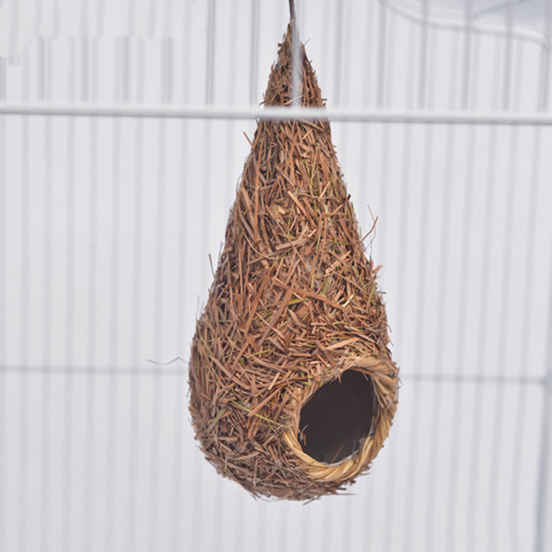 朱雀  — The Vermilion (Bird's Nest)
