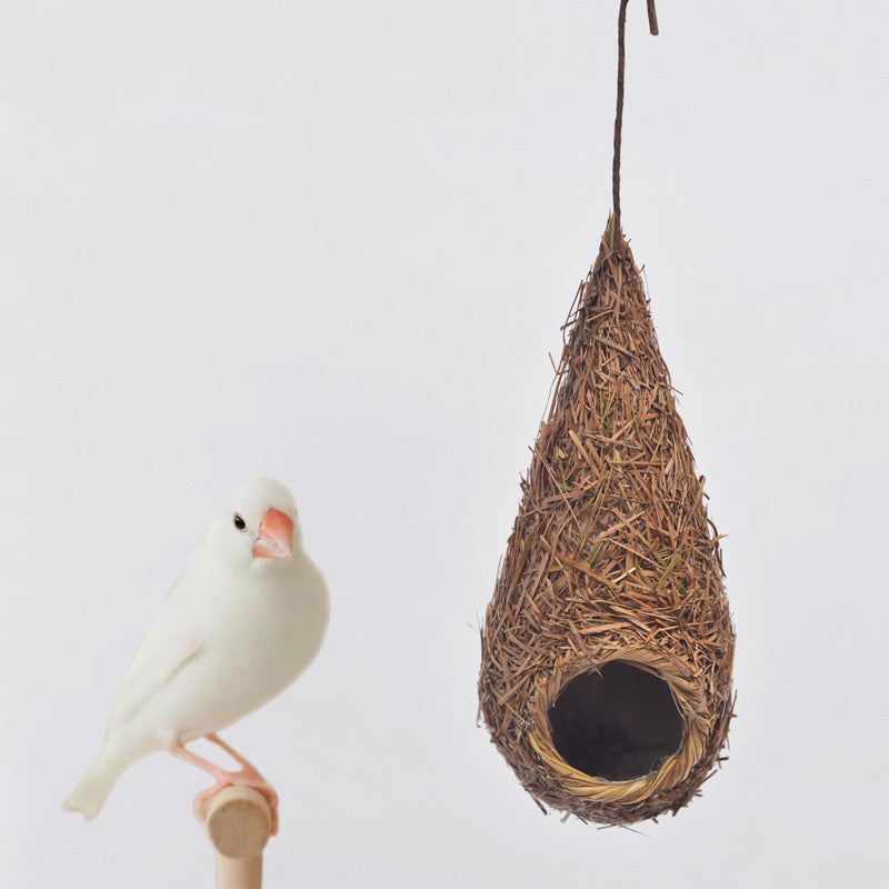 朱雀  — The Vermilion (Bird's Nest)